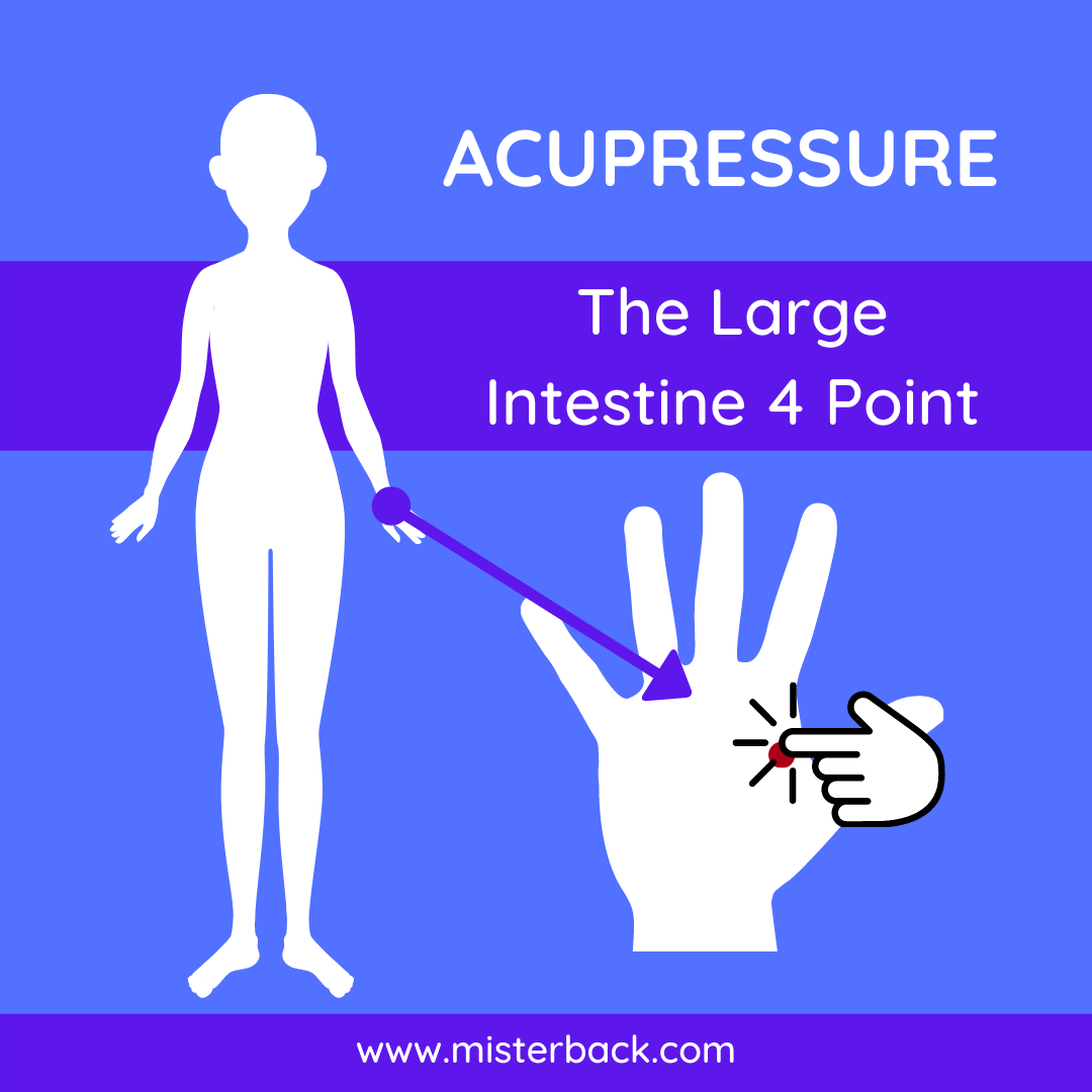 The Large Intestine 4 Point Acupressure Points