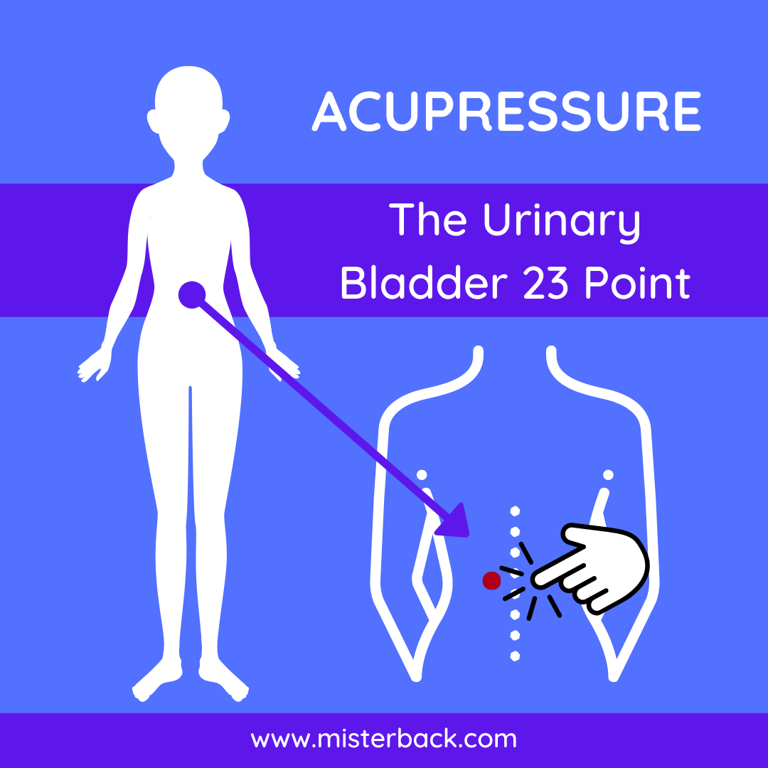 The Urinary Bladder 23 Point Acupressure Points