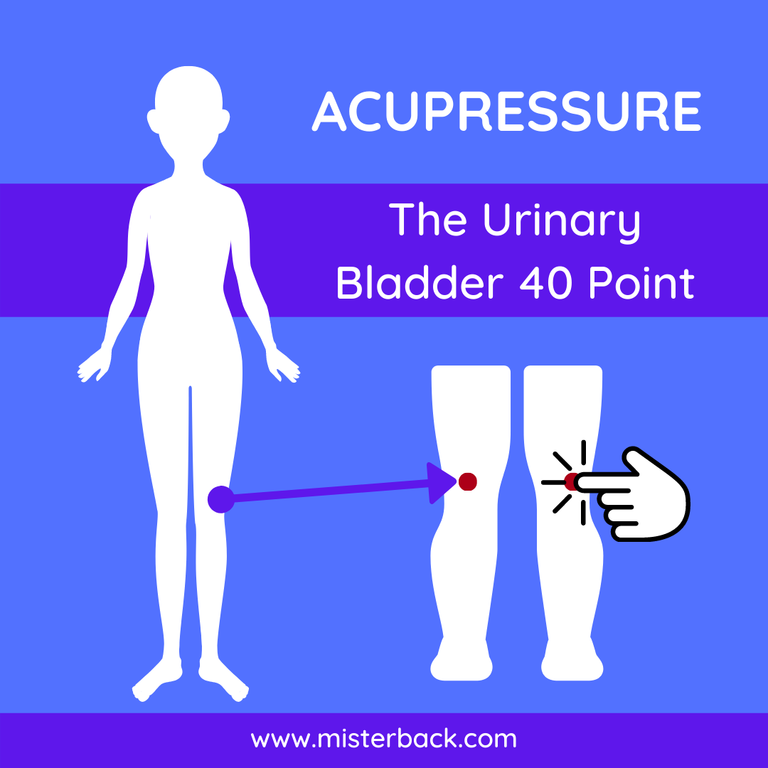 The Urinary Bladder 40 Point Acupressure Points