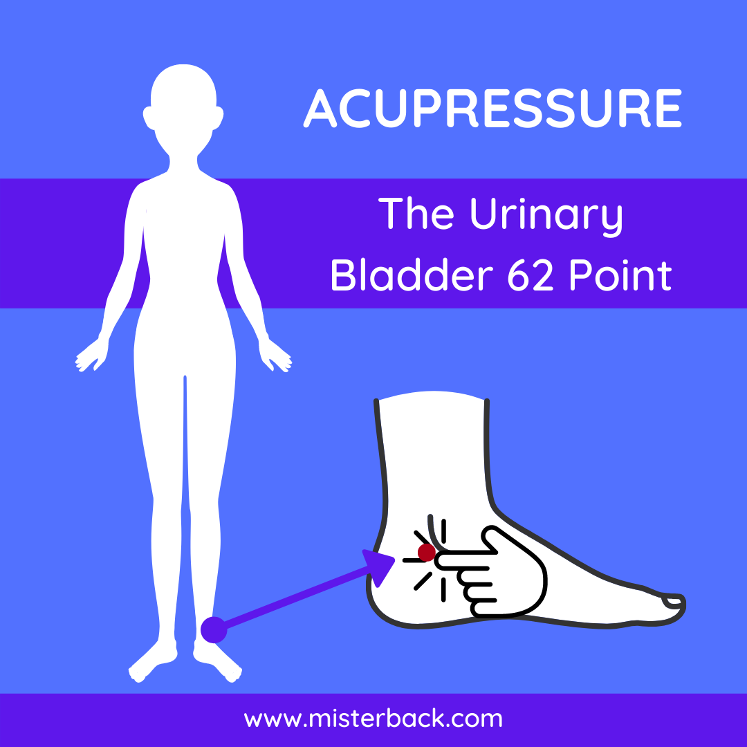 The Urinary Bladder 62 Point Acupressure Points
